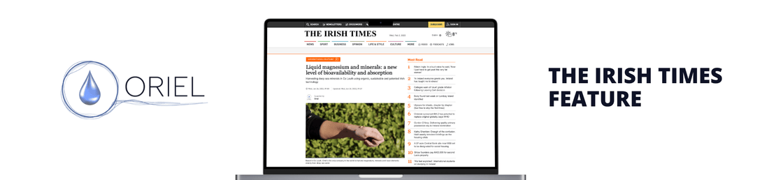 THE IRISH TIMES FEATURE