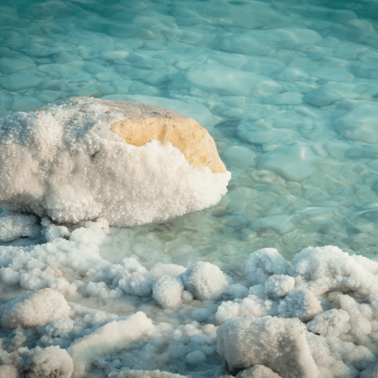 A Guide To Different Types Of Mineral Sea Salts
