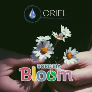 Oriel Magnesium At Bloom, Ireland's Favourite Summer Event!